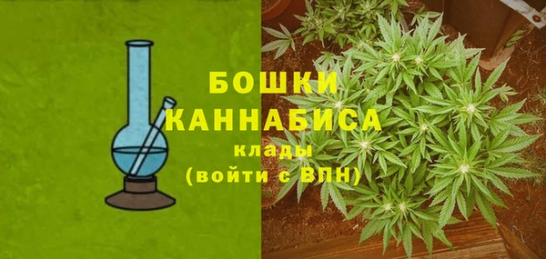 ешки Богданович